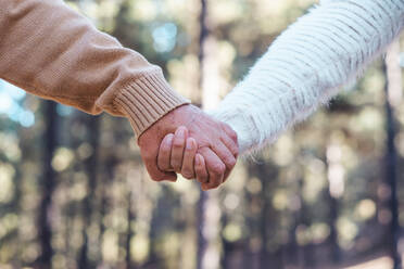 Senior couple holding hands in forest - SIPF02776