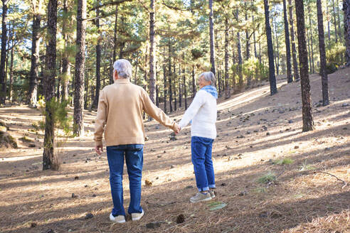 Senior couple holding hands standing in forest - SIPF02796