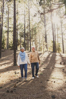 Senior couple holding hands walking in forest - SIPF02799