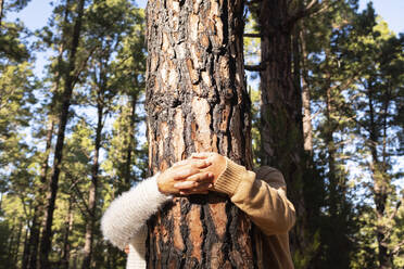 Älteres Paar hält sich an einem Baumstamm im Wald an den Händen - SIPF02808