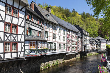 Germany, North Rhine-Westphalia, Monschau, Row of historic half-timbered townhouses standing along Rur river canal in spring - GWF07358