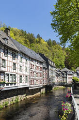 Deutschland, Nordrhein-Westfalen, Monschau, Reihe historischer Fachwerkhäuser am Rurkanal im Frühling - GWF07359