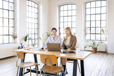 Happy business colleagues working together at home office - DMOF00253