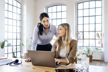 Businesswomen with laptop working at home office - DMOF00258