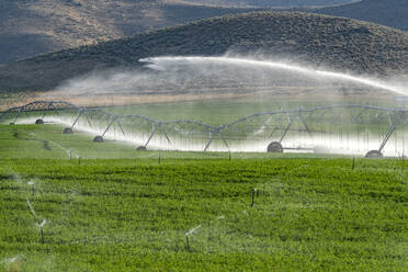 USA, Idaho, Bellevue, Zentrales Bewässerungssystem, das Wasser auf ein Feld spritzt - TETF00626