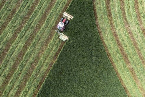 Luftaufnahme Traktor bei der Grünheuernte, Auvergne, Frankreich - FSIF05920