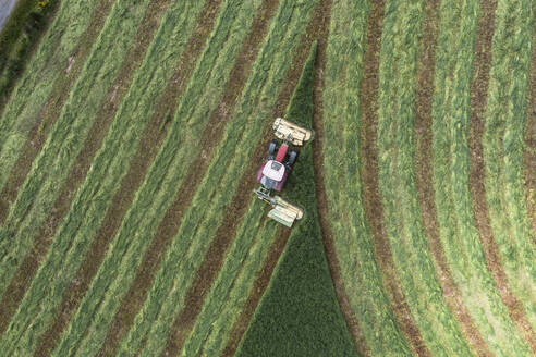 Luftaufnahme von oben, Traktor bei der Ernte von grünem Heu, Auvergne, Frankreich - FSIF05921