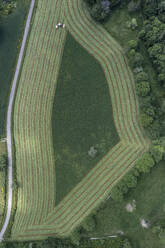 Luftaufnahme von oben gestreiftes grünes Heu, das ein Muster in der Landschaft bildet, Auvergne, Frankreich - FSIF05922