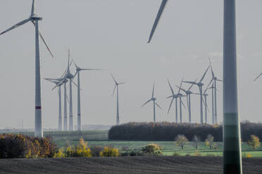 Windkraftanlagen in idyllischer ländlicher Umgebung, Sachsen-Anhalt, Deutschland - FSIF05935