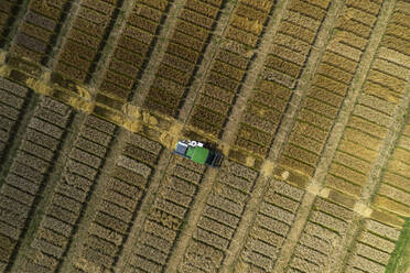 Aerial Drohne POV Traktor in landwirtschaftlichen Feld mit Ernte Rechtecke - FSIF05937
