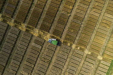 Aerial drone POV tractor in agricultural field with crop rectangles - FSIF05937