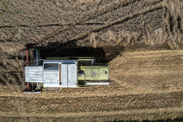 Aerial drone POV combine harvester harvesting hay in sunny field - FSIF05941