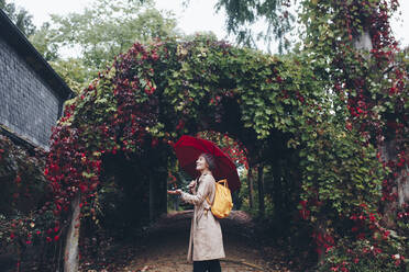 Frau hält Regenschirm an einem mit Reben bedeckten Bogen - TETF00720