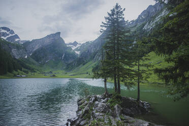 Seealpsee in den Appenzeller Alpen, Schweiz - TETF00746