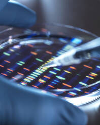 Wissenschaftlerin pipettiert Probe in Schale für DNA-Test - ABRF00954