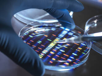 Wissenschaftlerin pipettiert Probe in Schale für DNA-Tests im Labor - ABRF00955