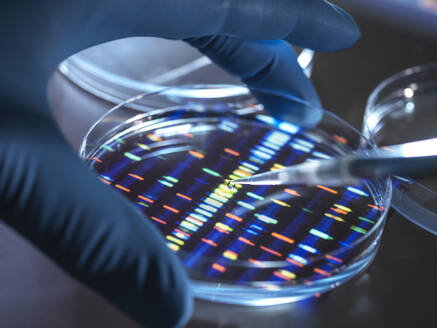 Scientist pipetting sample into tray for DNA testing in laboratory - ABRF00955