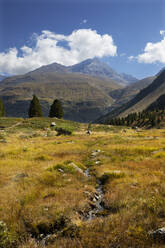 Schmaler Bach in den Otztaler Alpen im Sommer - WWF06175