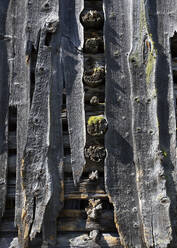 Vollbild einer alten verwitterten Holzwand - WWF06182