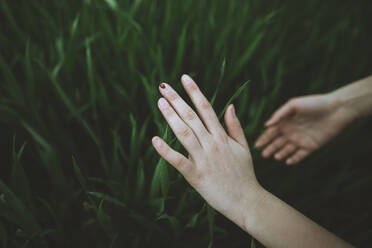 Woman's hands touching grass - TETF00753