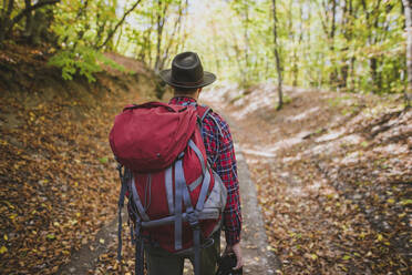 Man hiking in forest - TETF00754