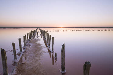 Ukraine, Crimea, Wooden posts in salt lake - TETF00805