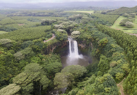 USA, Hawaii, Kauai, Wasserfall im Wald - TETF00891