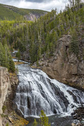 USA, Wyoming, Yellowstone-Nationalpark, Gibbon-Fälle am Gibbon-Fluss im Yellowstone-Nationalpark - TETF00969