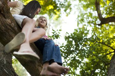 Two girls sitting in a tree - TETF01050