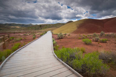 USA, Oregon, Mitchell, Weg zwischen den Painted Hills - TETF01067