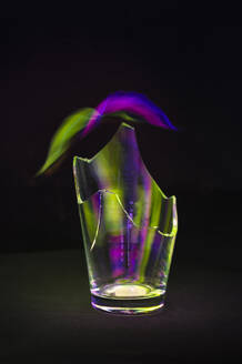 Studioaufnahme von Glasscherben, die grünes und violettes Licht reflektieren - MHF00571