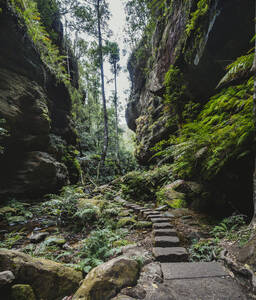 Steiniger Pfad entlang der Felsen - TETF01256