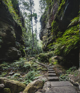 Stony path along rocks - TETF01256