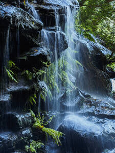 Australien, New South Wales, Wasserfall namens Wentworth Falls - TETF01258
