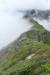 Ukraine, Zakarpattia, Bezirk Rachiw, Karpaten, Maramures, Berglandschaft - TETF01262