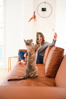 Full body of positive female owner sitting on sofa with feather wand while playing with cute cat in light living room - ADSF33928