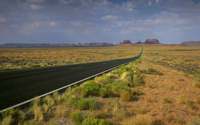 Arizona, Monument Valley Tribal Park, Leere Straße in der Wüste, die zum Monument Valley führt - TETF01308