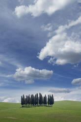 Italy, Tuscany, Val D'Orcia, Cypresses on green hill and clouds - TETF01315