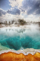 West Thumb Geyser Basin - TETF01336