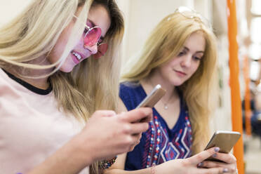 Blonde Teenager beim Surfen im Internet über Mobiltelefone - WPEF05839