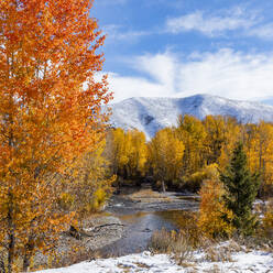 USA, Idaho, Ketchum, Herbstlaub in den Bergen bei Sun Valley - TETF01364