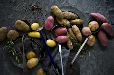 Studioaufnahme von verschiedenen Schöpfkellen und verschiedenen Sorten roher Kartoffeln - ASF06810