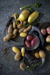 Studioaufnahme von verschiedenen Sorten roher Kartoffeln - ASF06811
