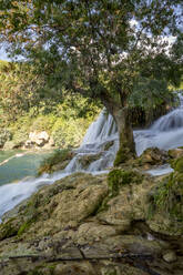 Skradinski Buk waterfall by tree, Krka National Park, Sibenik-Knin, Croatia - MAMF02021