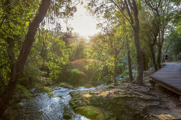 Tourist walking on footbridge by forest, Krka National Park, Sibenik-Knin, Croatia - MAMF02039