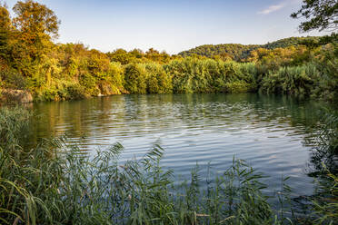 Schöner Blick auf den Fluss im Krka-Nationalpark, Sibenik-Knin, Kroatien - MAMF02040