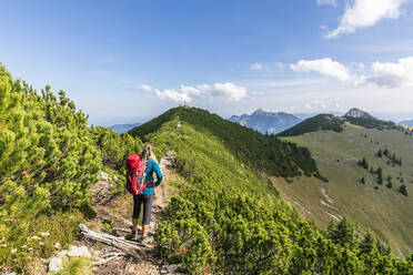 Female hiker standing in middle of mountain trail looking toward Jagerkamp peak - FOF12990