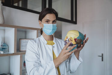 Doctor with protective face mask holding human skull in clinic - MFF08869