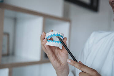 Zahnarzt zeigt Zahnersatzmodell in der Klinik - MFF08879