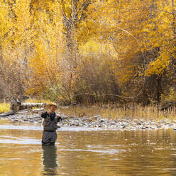 USA, Idaho, Bellevue, Älterer Mann beim Fliegenfischen im Big Wood River im Herbst - TETF01378